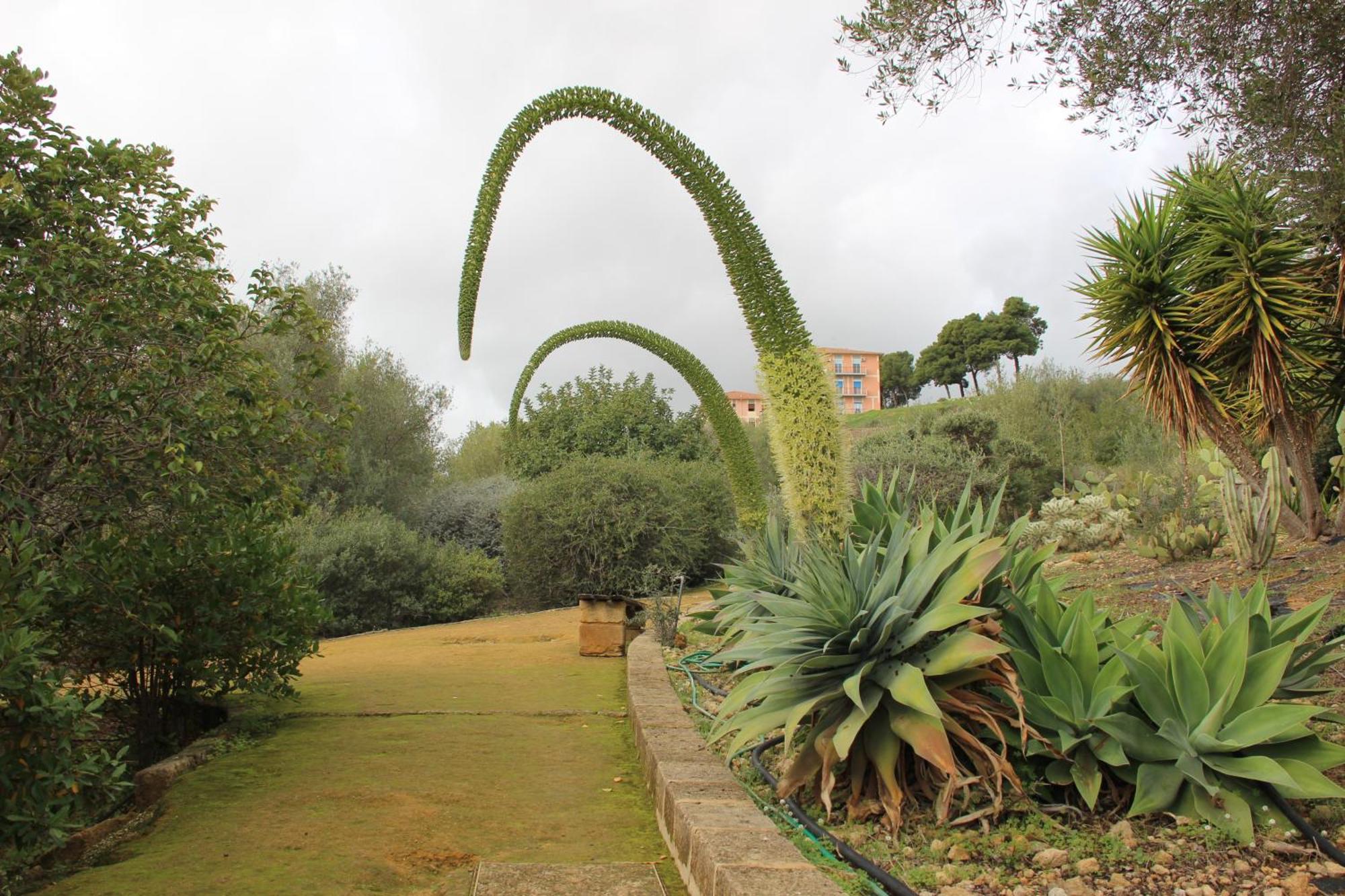 B&B Villa Adriana San Leone Exteriör bild